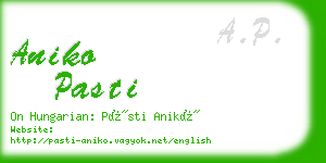 aniko pasti business card